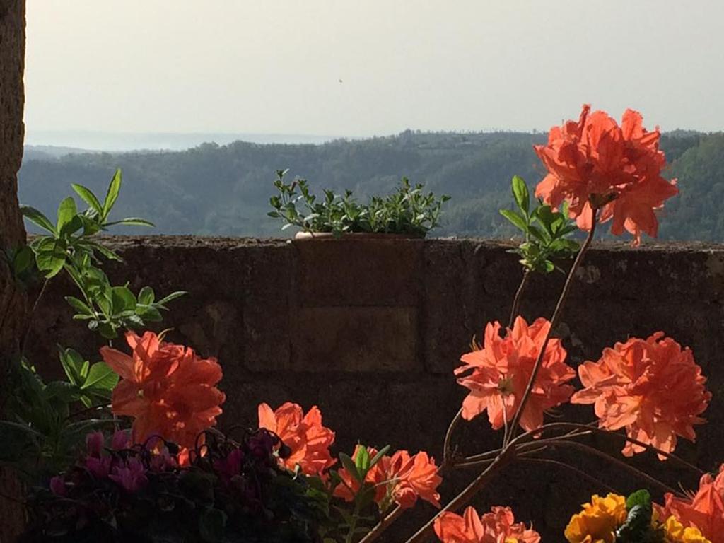 L'Incanto Di Civita Bagnoregio Exterior photo